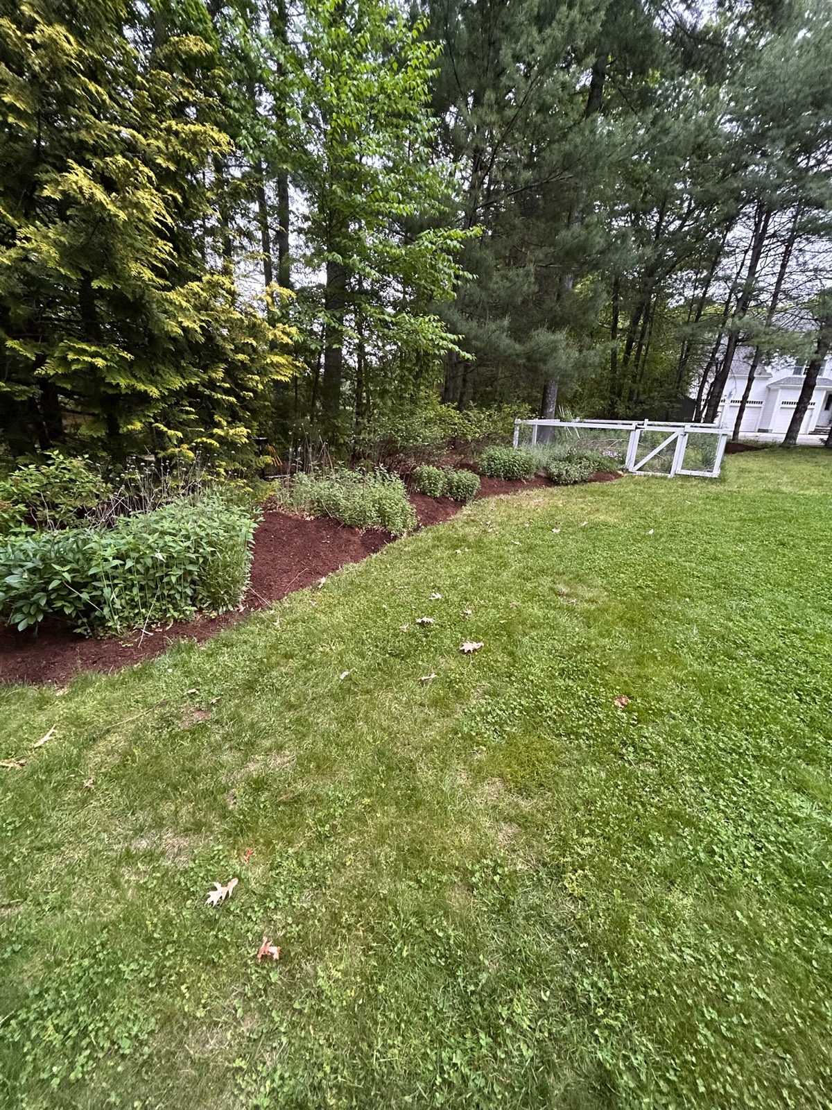 After: cleaned bed with fresh mulch and crisp lawn edge